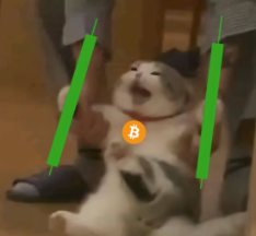 A shocked cat sits between two green candlesticks with a Bitcoin logo overlay, illustrating a meme about the Maneki-neko Bitcoin-themed memecoin's price action and its clever Chinese symbolism.