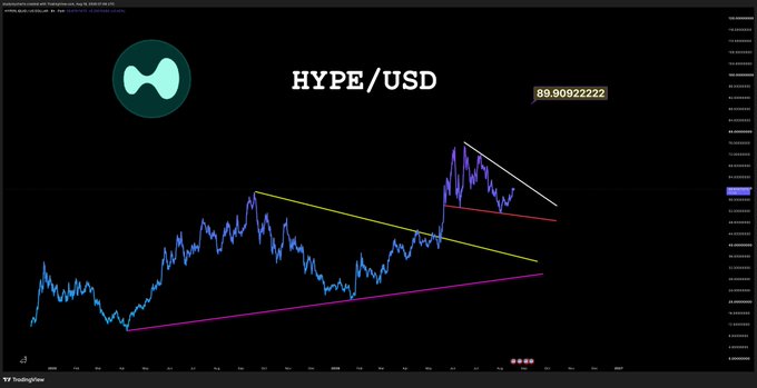 A TradingView chart showing HYPE/USD with a price of 89.90922222, featuring a large symmetric triangle pattern (highlighted by yellow, red, and white trendlines) as the cryptocurrency approaches the apex of its consolidation, supporting the post's prediction that $HYPE is on its way to $89.