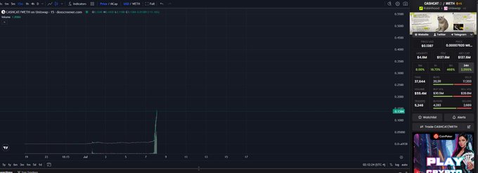 A trading platform screenshot displays the microcap stock chart of "$CASHCAT," ticker CASHCAT/USDT on Bitget, with the price spiking dramatically upward from near zero to around $0.0017, illustrating the post's claim that a small initial investment would have yielded massive returns in under two weeks.