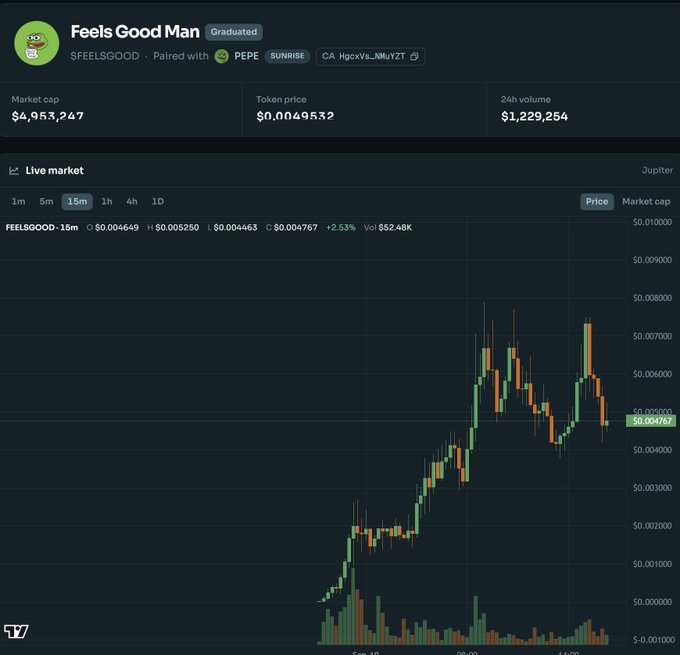 A DexScreener page for the 'Feels Good Man' (FEELSGOOD) token paired with PEPE on Solana, showing a market cap of $4,953,247, token price of $0.0049532, and 24h volume of $1,229,254.
