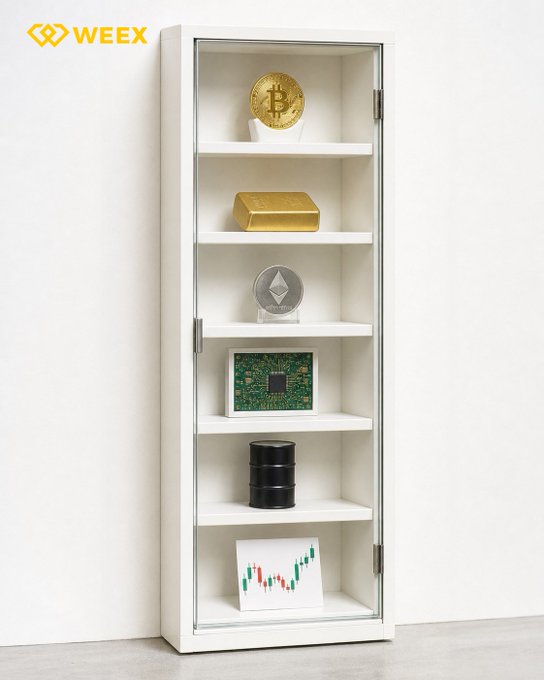 A white display cabinet from WEEX showcases secured digital assets including a Bitcoin coin, gold bar, Ethereum coin, circuit board, black server unit, and a candlestick trading chart, visually reinforcing the post's message of protecting owned assets. The image illustrates the concept of safeguarding investments—from physical gold to cryptocurrency and trading technology—aligning with WEEX's emphasis on asset security and confident trading.
