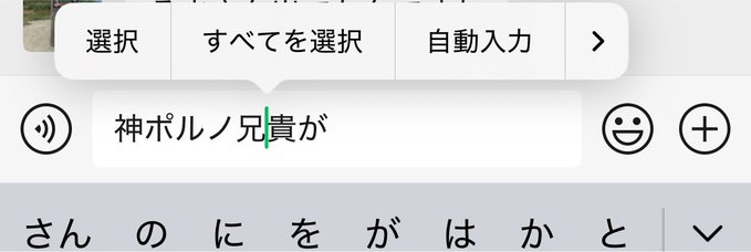 A Japanese mobile keyboard input screen showing the typed text '神ポルノ兄貴が' with options for selecting all or automatic input displayed above.
