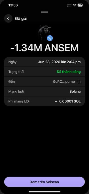 The image shows a successful Solana transaction confirmation displaying "-1.34M ANSEM" sent to a pump contract address on Jun 28, 2026, with minimal network fees. This visually corroborates the post's account of someone mistakenly transferring 1.3 million ANSEM tokens directly to the token's contract instead of their intended wallet, resulting in an unrecoverable loss now valued around $230,000.