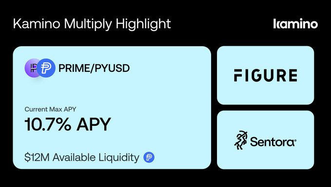 The image features a screenshot of a Kamaino trading platform's interface, which displays some information about different cryptocurrencies and their associated assets. There are several logos on the screen, including "Sentora" and "PYUSD", representing cryptocurrency exchanges and their asset classes respectively. One logo prominently stands out for being a bitcoin address. The interface also includes text in a darker shade of blue that provides details such as "Current Max APY 10.7% APY", which indicates the exchange's maximum ask and accept rates, along with other information about the available lending capacity.