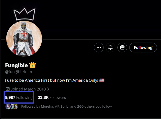 A Twitter profile page for user 'Fungible' (@fungibletokn), featuring a crusader knight avatar, the bio 'I use to be America First but now I'm America Only! 🇺🇸', and a highlighted '9,997 Following' count.