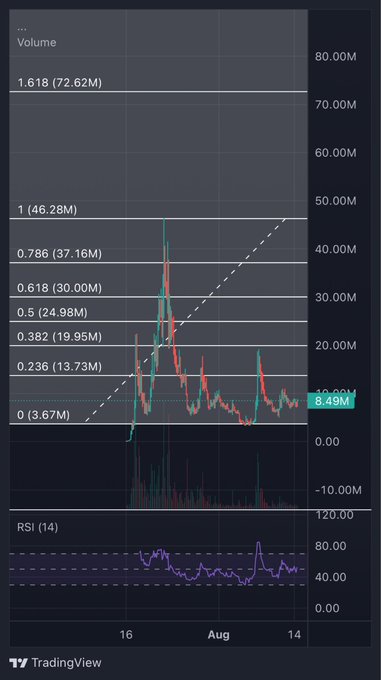 TradingView chart showing volume analysis with Fibonacci levels and an RSI (14) indicator displaying recent price action for an unnamed asset in August.