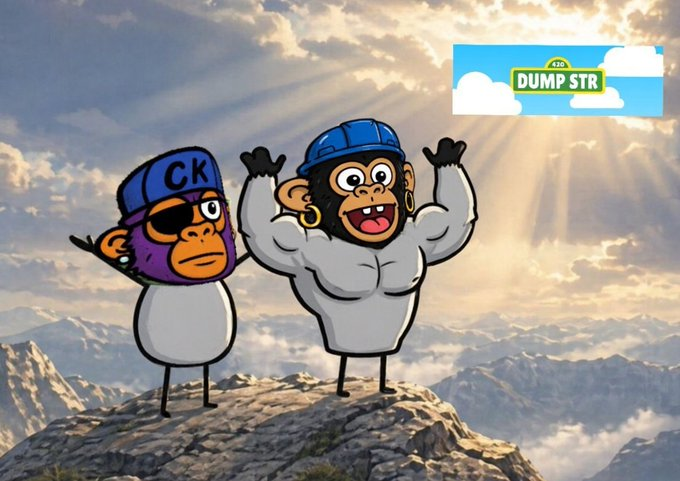 Two cartoon monkey characters standing on a mountain peak under sunbeams, with one labeled 'CK' and a 'DUMP STR' logo in the corner.