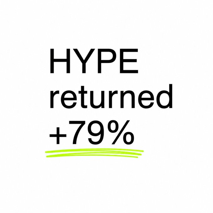 A minimalist white graphic with bold black text reading 'HYPE returned +79%' with a neon green underline.