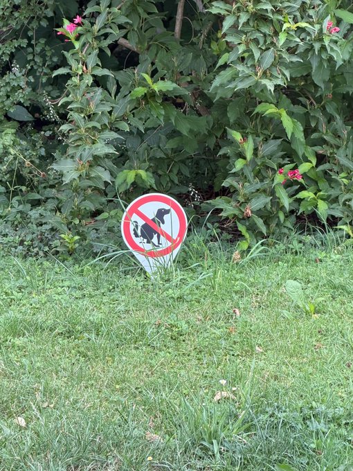 A "no dogs allowed" sign sits among grass and bushes with pink flowers, humorously representing the Swiss neighbors' plea to stop the "dumping" of Ethereum, which is humorously likened to dog waste in their garden.