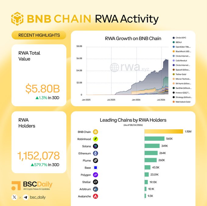 The image is a BNB Chain RWA Activity infographic from BSCDaily showing a $5.80B total RWA value (up 1.3% in 30 days) alongside a growth chart from January 2025 onward, and a "Leading Chains by RWA Holders" ranking dated 08/24/2026 where BNB Chain tops the list with 1.15M holders, followed by Robinhood (565K), Solana (349K), Ethereum (264K), Plume (260K), Base (43.5K), Polygon (23.01K), Stellar (19.13K), Arbitrum (10.1K), and Avalanche (9.3K) — supporting the post's claim that BNB Chain leads the RWA holder race.