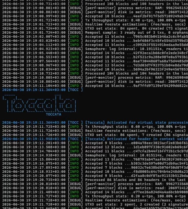 The image displays terminal logs showing the activation of the "Toccata" hard fork for the Kaspa ($KAS) network, with key entries including "[TOCC] [Toccata] Activated for virtual state processing" and "[TOCC] [Toccata] Activated for header in context valid" timestamped at 2026-06-30 19:19:11. The logs also feature a stylized ASCII "Toccata" banner, visually confirming the successful network upgrade mentioned in the post.