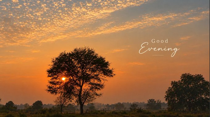 A scenic landscape at sunset shows the sun setting behind a large tree silhouette in a field, with 'Good Evening' written in elegant script on the right side.