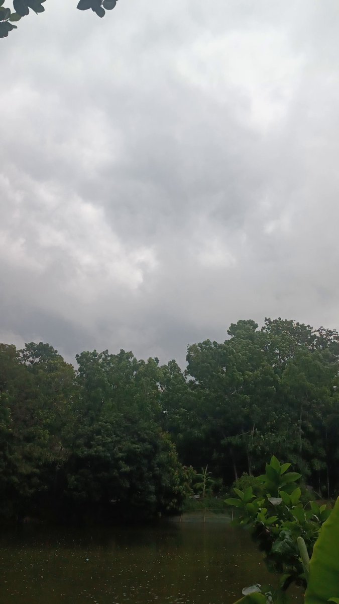 The image shows a beautiful view of trees with green leaves against a cloudy sky over a body of water, possibly a lake or pond. The scene appears to be taken from an elevated position, providing a bird's eye perspective of the landscape below. The caption above the image reads "Good morning my X family GM enjoy @NomismaNetwork New day, bigger ambitions @useTria GM everyone, let’s win today @sleepagotchi @NucleusCodes Bullish @quipnetwork".