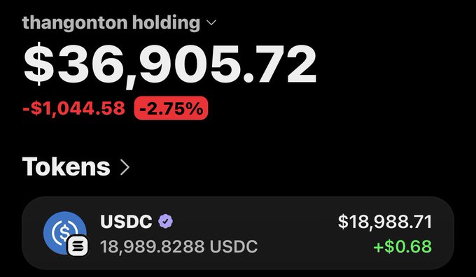 A cryptocurrency portfolio screenshot shows "thangonton holding" with a total value of $36,905.72, down -$1,044.58 (-2.75%) in red, displaying a USDC token balance of 18,989.8288 USDC ($18,988.71, +$0.68) in green. The image reflects the post's sentiment of recovering losses to reach the $50k goal, showing the holder is down but still holding a substantial portfolio.