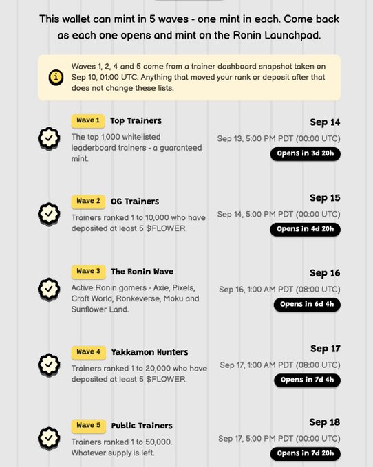 A webpage showing a mint schedule for a wallet across 5 waves (Top Trainers, OG Trainers, The Ronin Wave, Yakkamon Hunters, Public Trainers) starting September 14.