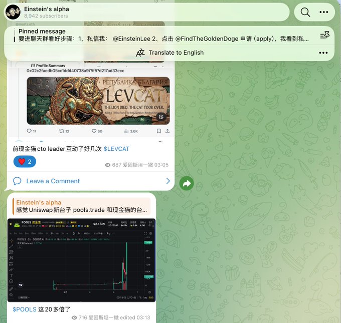 A Telegram channel called "Einstein's alpha" (8,942 subscribers) shows a pinned message in Chinese directing users to message @EinsteinLee and apply via @FindTheGoldenDoge, alongside posts celebrating cat token LEVCAT interacting with a "cto leader" and displaying a chart of $POOLS spiking over 20x in value on Uniswap, tying into the channel's apparent focus on crypto trading signals and meme coins.