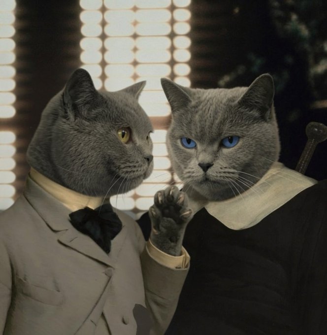 A stylized image of two gray cats dressed in formal attire, one in a light suit with a bow tie and the other in dark clothing with a white collar, set against a warm, vintage background.