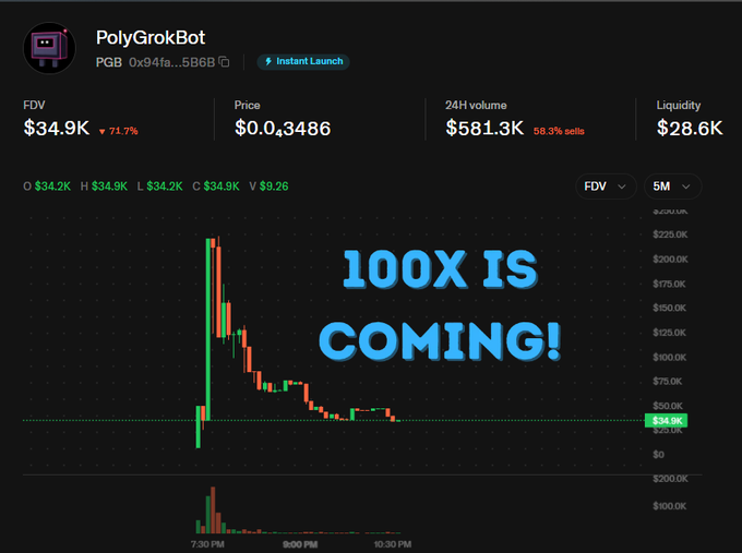 A cryptocurrency price chart for "PolyGrokBot" (PGB) showing a massive price spike and drop, overlaid with large blue text reading "100X IS COMING!".