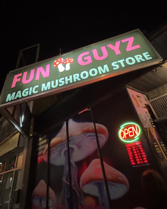 A neon-lit storefront at night displays 'FUN GUYZ MAGIC MUSHROOM STORE' in pink and green signage with mushroom graphics, alongside an 'OPEN' neon sign and red digital display.