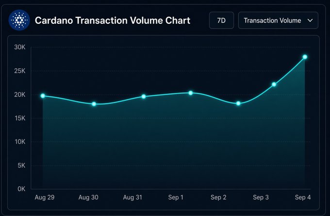 A Cardano Transaction Volume Chart displaying a 7-day period from Aug 29 to Sep 4, with values ranging around 18K-28K, showing an upward trend peaking on Sep 4.