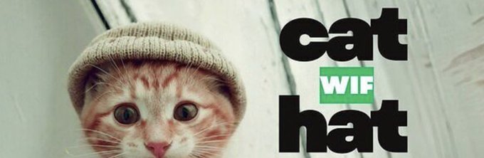 The image features an orange tabby cat wearing a hat with its eyes open, looking directly at the camera. The caption of the image reads "Cat WIFHAT", which is related to the content of the image.