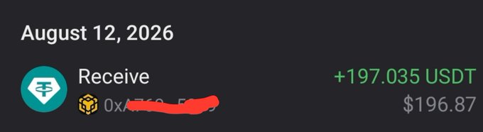 A transaction record dated August 12, 2026, showing a Receive of +197.035 USDT ($196.87) from a BNB Chain address that has been partially redacted with a red mark.