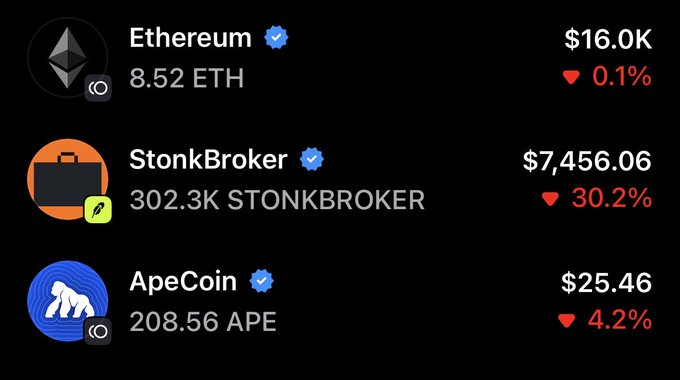 Cryptocurrency portfolio showing Ethereum at $16.0K (8.52 ETH, down 0.1%), StonkBroker at $7,456.06 (down 30.2%), and ApeCoin at $25.46 (208.56 APE, down 4.2%).