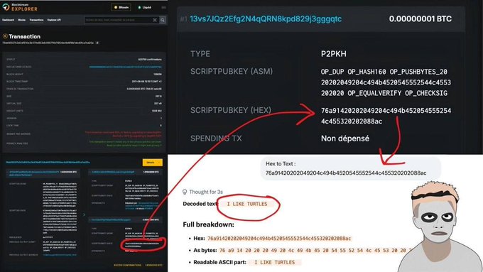 A multi-panel tutorial showing a Bitcoin transaction explorer interface (mempool.space) with red annotations explaining how to decode hex data from a scriptpubkey to reveal a hidden message reading 'I LIKE TURTLES', accompanied by a cartoon avatar.