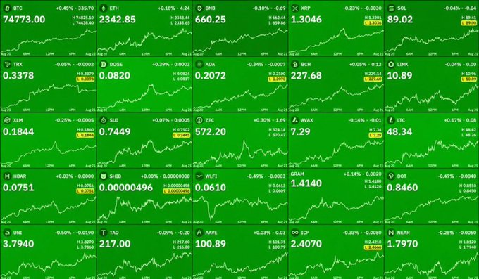 A green-themed cryptocurrency price tracker dashboard showing various assets including BTC at 74773.00, ETH at 2342.85, BNB at 660.25, and XRP at 1.3046, along with their 24-hour percentage changes.