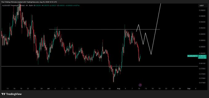 A TradingView 4-hour chart of ALGO/USDT showing price action that recently dipped to the 0.075 region before bouncing, with a white hand-drawn line illustrating a short swing down followed by a potential long entry, aligning with the post's note that a "perfect short played out" and the trader is "waiting now to flip long" if the region holds.