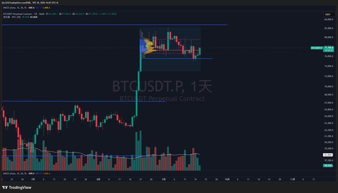 A TradingView chart showing BTCUSDT Perpetual Contract on a 1-day timeframe with candlestick price action and volume bars.