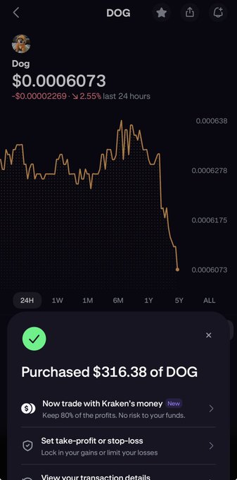 A cryptocurrency trading app screen showing the DOG token with a price of $0.0006073, down 2.55% in the last 24 hours, and a notification confirming a $316.38 purchase.