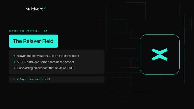 A dark-themed slide titled "Inside the Protocol · 03 — The Relayer Field" explains MultiversX's relayer feature, noting that a transaction includes "relayer" and "relayerSignature" fields, incurs 50,000 extra gas shared with the sender, and allows an onboarding account with no EGLD to send transactions — visually paired with the MultiversX "X" logo.