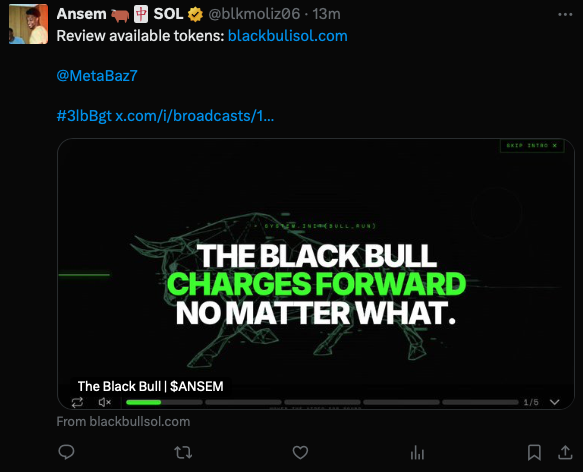 A Twitter/X post by user 'Ansem' (@blkmoliz06) promoting 'Review available tokens: blackbullsol.com' for '$ANSEM' and '$SOL', featuring an image of a black bull with the text 'THE BLACK BULL CHARGES FORWARD NO MATTER WHAT.'