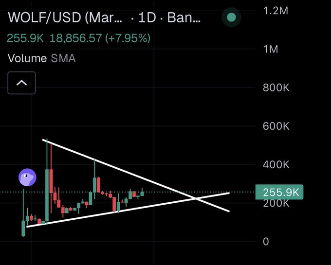 A daily candlestick chart of WOLF/USD on Binance shows a symmetrical triangle pattern forming between approximately 100K and 550K volume SMA levels, with the current price at 255.9K (+7.95%). The chart's pending breakout direction visually answers the post's call for $WOLF to rally to $1M, as a break above the descending resistance line could target that milestone.