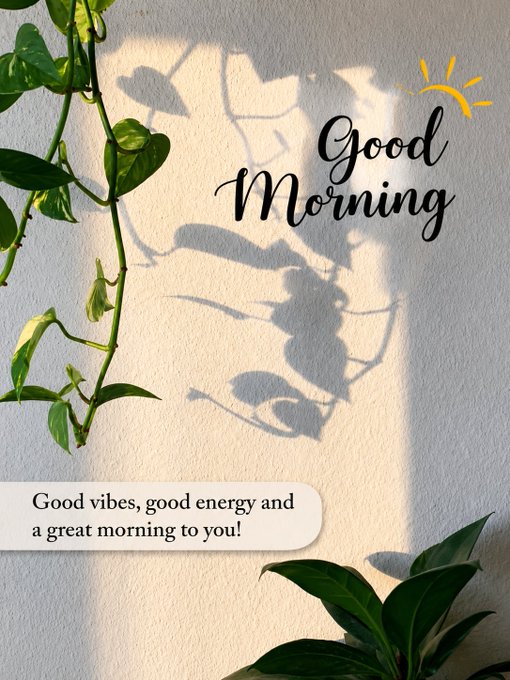 A 'Good Morning' greeting card with cursive text, a sun graphic, and the message 'Good vibes, good energy and a great morning to you!' framed by green plant vines casting shadows on a white wall.