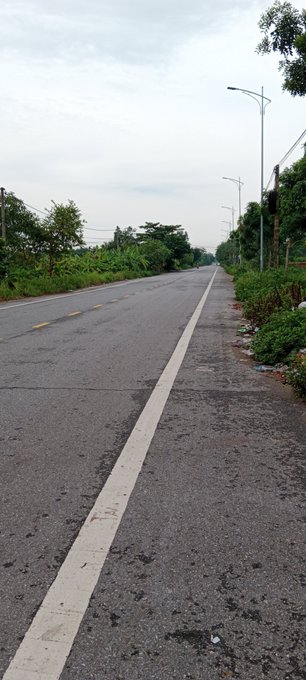 An empty road stretches into the distance, lined with green vegetation and streetlights under a cloudy sky.
