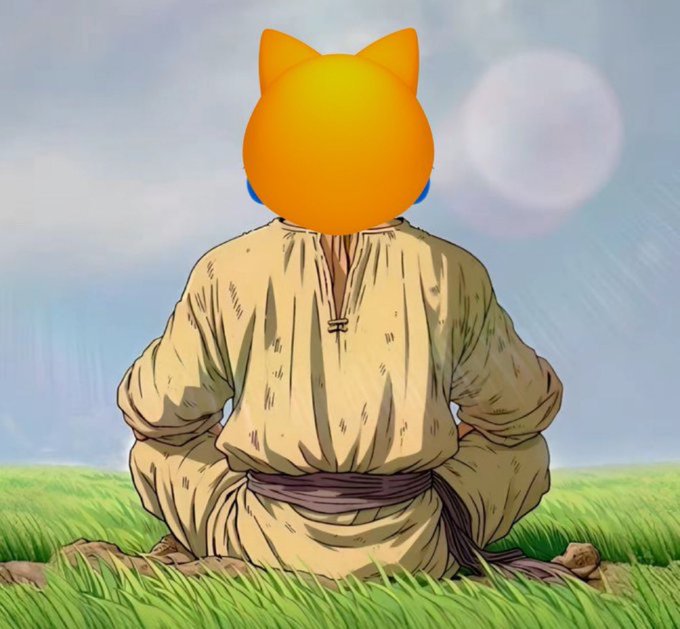 A person with an orange cat-like emoji head, viewed from behind, sits cross-legged in a grassy field gazing at a bright sun or moon, embodying the calm, meditative confidence of holding MOG coin steadily through its market cap swings from $1.5 billion down to $40 million.