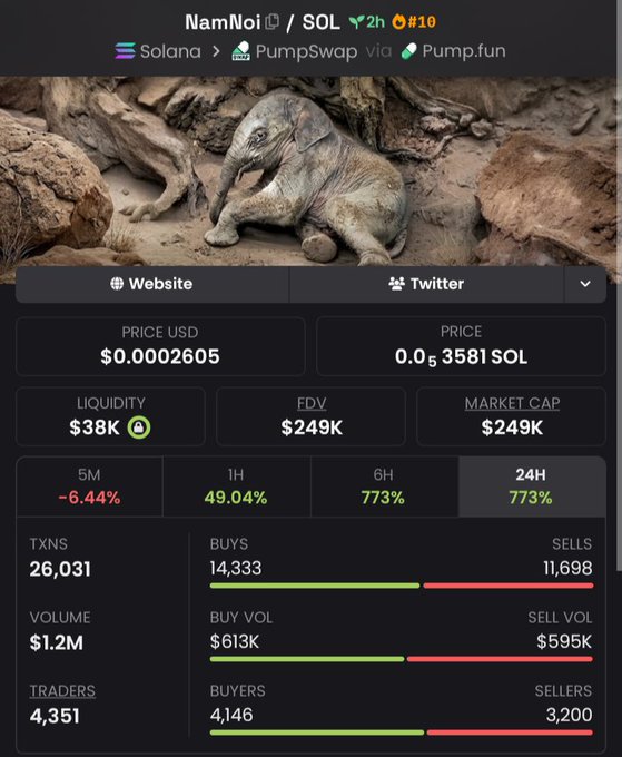 A screenshot of a cryptocurrency trading interface for 'NamNoi / SOL' on Solana via PumpSwap/Pump.fun, showing a price of $0.0002605, a market cap of $249K, and significant trading volume with 14,333 buys and 11,698 sells.