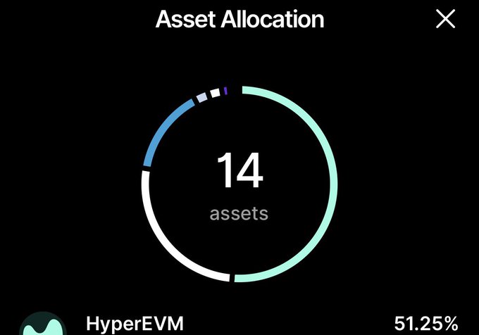 An 'Asset Allocation' chart showing 14 assets with HyperEVM at 51.25%, displayed on a black background with a circular multi-colored donut chart.