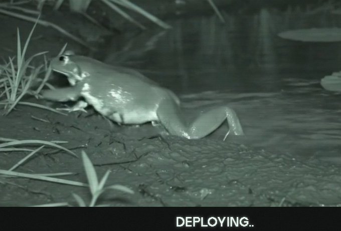 A night-vision camera captures a frog lunging forward at the water's edge, with the text "DEPLOYING.." displayed at the bottom, symbolizing the rapid, predatory action of investors converging on a new meme coin launch—mirroring how quickly capital can be deployed (and devoured) in the volatile crypto market.
