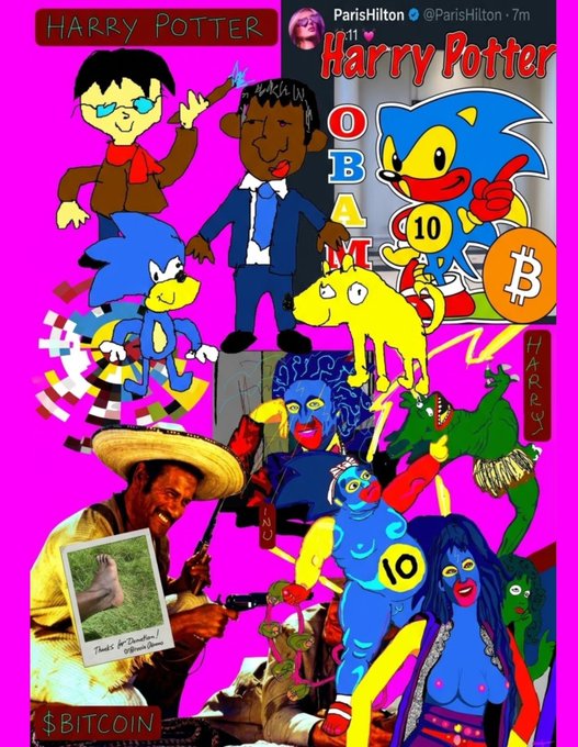 A chaotic collage on a bright pink background featuring "HARRY POTTER" text at the top, a Paris Hilton tweet about Harry Potter, "OBAMA", Sonic the Hedgehog, Bitcoin logos, Simpsons characters, lizard figures, and various pop culture mashups with "$BITCOIN" and "HARRY" text scattered throughout.