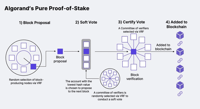 An infographic titled 'Algorand's Pure Proof-of-Stake' illustrating the four-step blockchain consensus process: Block Proposal, Soft Vote, Certify Vote, and Added to Blockchain.