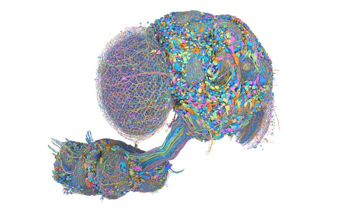 A colorful 3D abstract digital rendering composed of multicolored particles and strands on a white background, forming an organic shape.