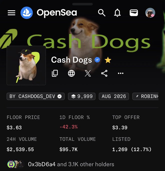 The image shows an OpenSea NFT collection page for "Cash Dogs," displaying a floor price of $3.63 with a steep 24-hour drop of -42.3%, a 24H volume of $2,539.55, and only 1,269 listed out of 9,999 total items. This sharp decline visually supports the caption "I bought the top again!" by showing the collection's value crashed right after purchasing, with the top offer sitting below floor at $3.39.