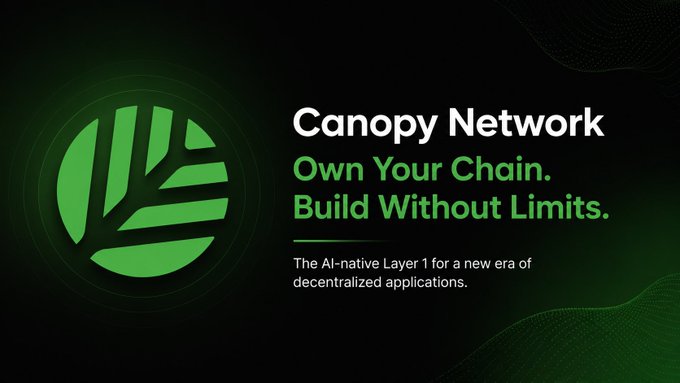 A promotional banner for Canopy Network (CNPY) featuring a green leaf logo on a black background, with the tagline "Own Your Chain. Build Without Limits." and the description "The AI-native Layer 1 for a new era of decentralized applications." The image reinforces the post's message by visually emphasizing Canopy Network's core value proposition of enabling customizable, independent chains for each app or project.