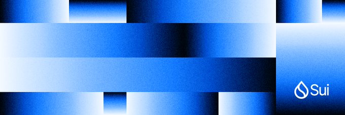 An abstract blue background with geometric rectangular blocks displays the 'Sui' logo in the bottom right corner.