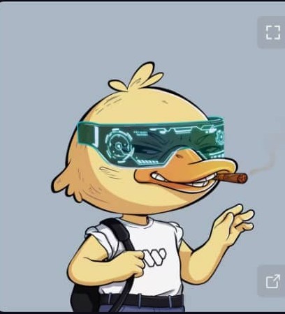 The image features a cartoon duck wearing glasses and holding a cigarette. The duck appears to be dressed as a hipster or artist, possibly from the gQuack series. The post suggests that this duck character might have an interest in cryptocurrency, as indicated by the reference to Crypto Twitter. The post also mentions the evolution of social media platforms into attention economies, which could potentially apply to the gQuack character's popularity and influence on the platform.
