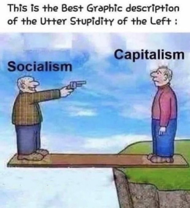 Political cartoon titled 'This is the Best Graphic description of the Utter Stupidity of the Left,' depicting Socialism pointing a gun at Capitalism on a plank over a cliff.