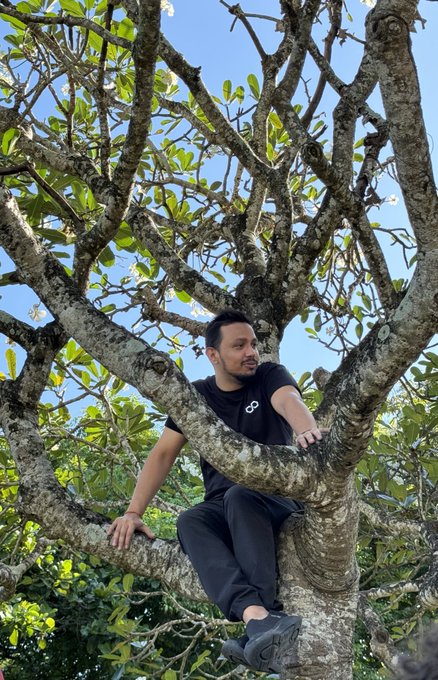 A man sits perched up in a large tree's branches against a blue sky, with his black shirt displaying a logo. The image symbolizes resilience and steady growth, mirroring the post's message that EAC remains firmly rooted in the Polygon ecosystem after three years, continuing to build and hold strong despite market challenges.